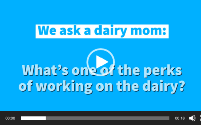 Ask a Dairy Mom