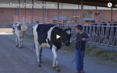 Technology and Cow Care