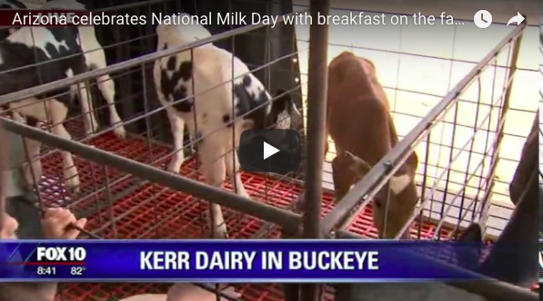 Celebrating National Milk Day with Breakfast on the Farm