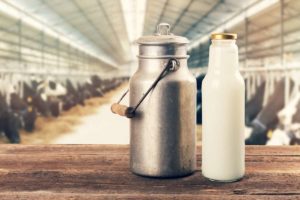 milk jug