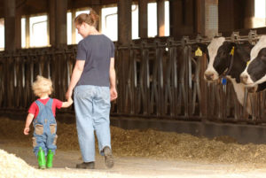 A farmer and her child walking through a cow pin.