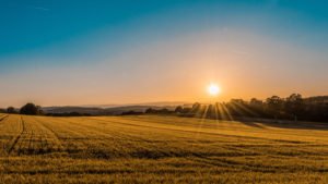 A giant farm field