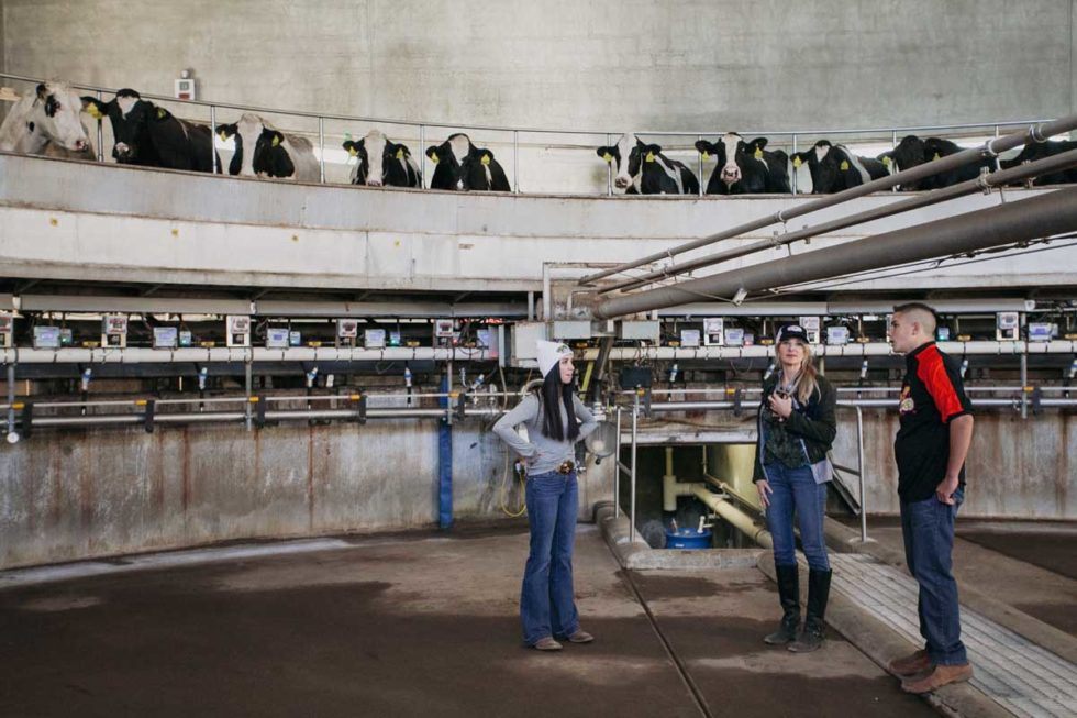 Caballero Dairy Arizona Milk Producers