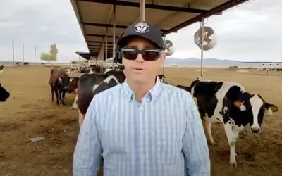 Virtual Dairy Farm Tour for Nutrition and Health Professionals