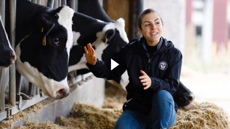 Virtual Dairy Field Trip